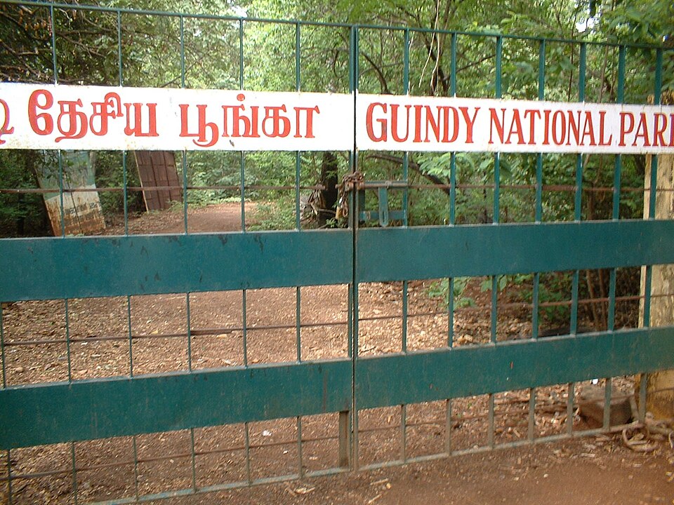 Guindy (Photo: Wikimedia Commons contributors, CC BY-SA 4.0)