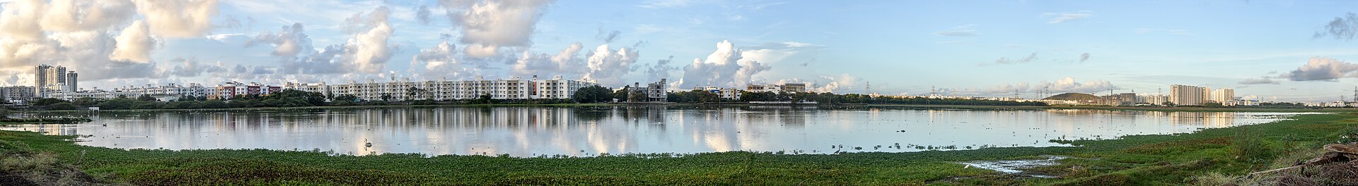 Pallikaranai Marshland (Photo: Timothy A. Gonsalves, CC BY-SA 4.0)