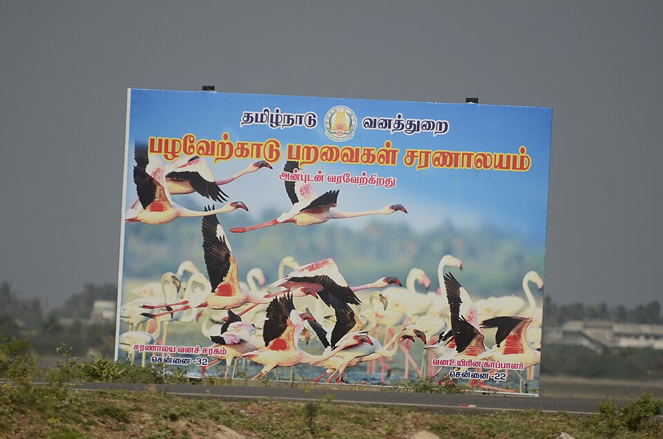 Pulicat Lake